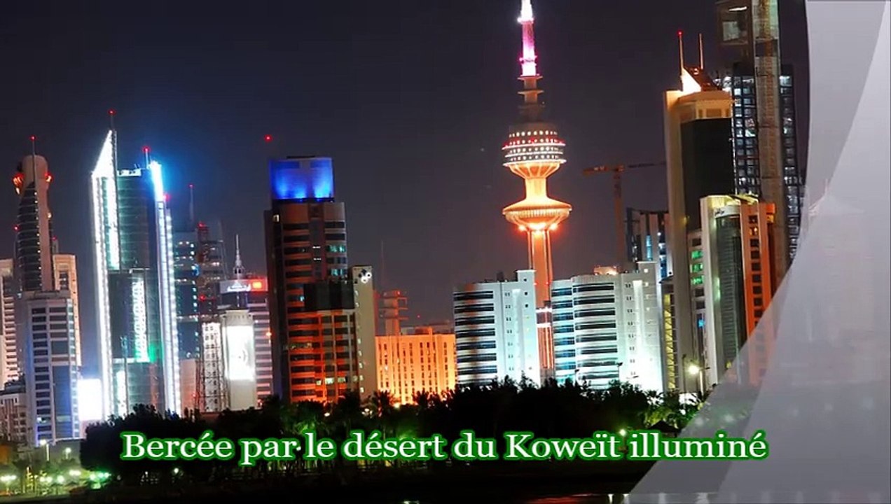 BANDE ANNONCE DE  LIGNES DE FOI LIGNES DE VIE AUX EDITIONS EDILIVRE DE    FARIDA BOUMEDJERIA