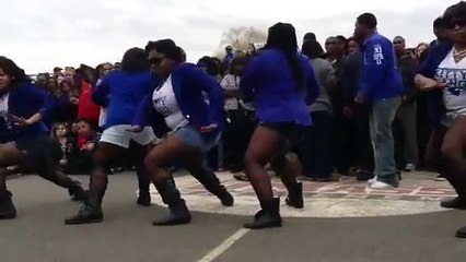Zeta phi beta stroll