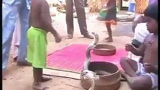 Indian Kids Playing with Snakes