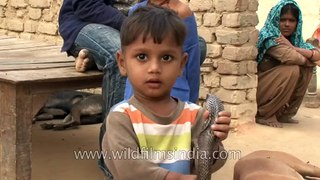 These Indian kids play with real life snakes on a daily basis!