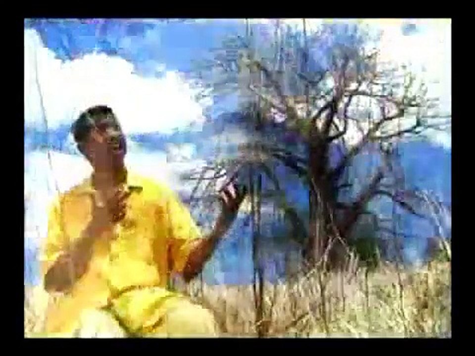 CASSIYA MIX SEGA MAURICIEN - WillyDeLyon974