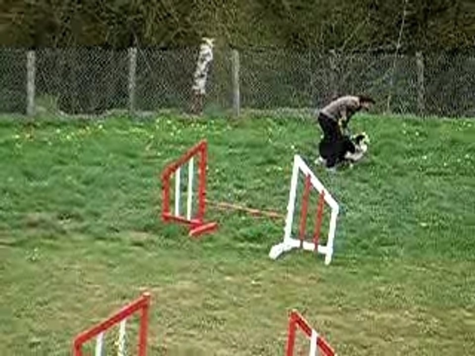 palissade