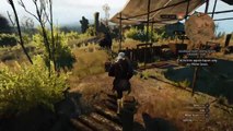 The Witcher 3: Wild Hunt 3 headed horse_weird bug