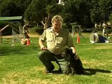 TELE2 MOBILE - Dog Trainer