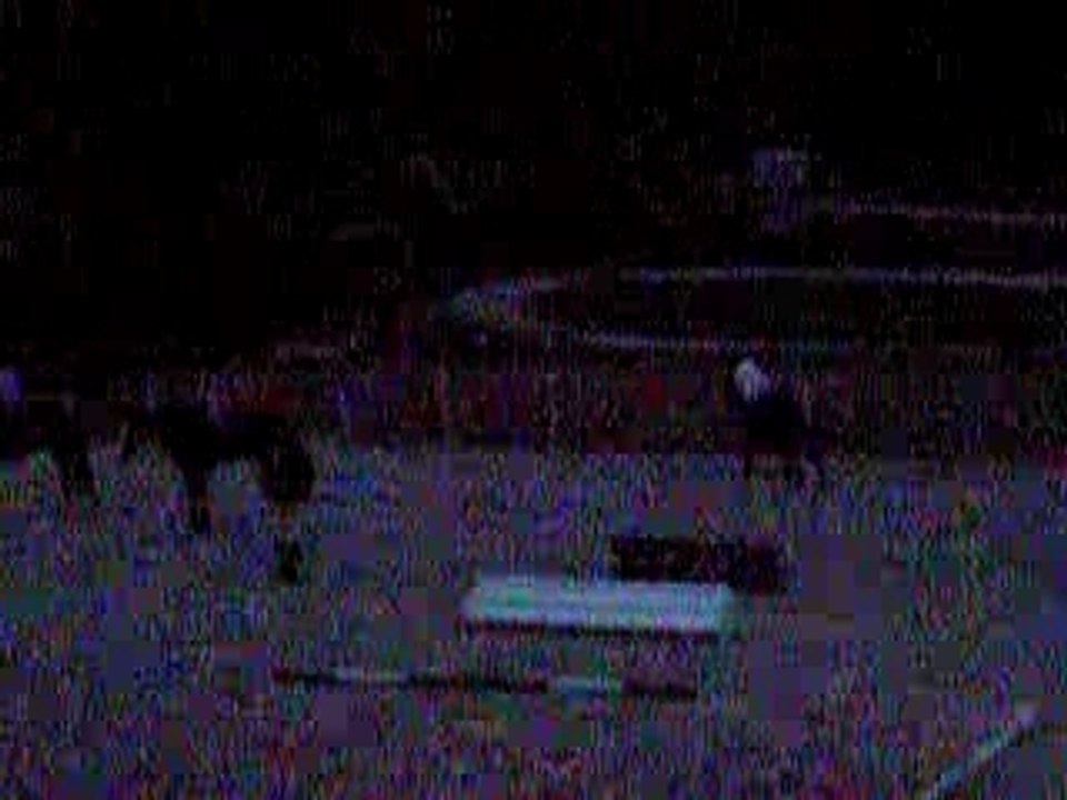 Cali moi saut de puce