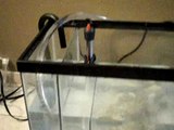 DIY 10 gallon custom sump filter for saltwater reef aquarium 2nd video