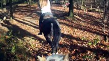 Cross Country with two horses filmed with helmet cam!