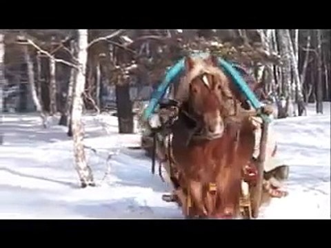 Russian House - A Video Tour of The Russian House. Russian Troika