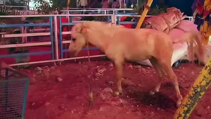 Heroine Kajal Aggarwal Makeup Room Secrets What Makeup Man Do