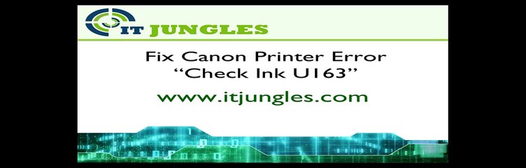 How to Fix Canon Printer Error Message Check Ink U163