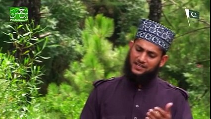 mere data ka pakistan_Satti Alkhairi Brothers