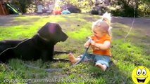 Funny Videos   Babies Laughing at Dogs   Cute dog & baby compilation | children laughing