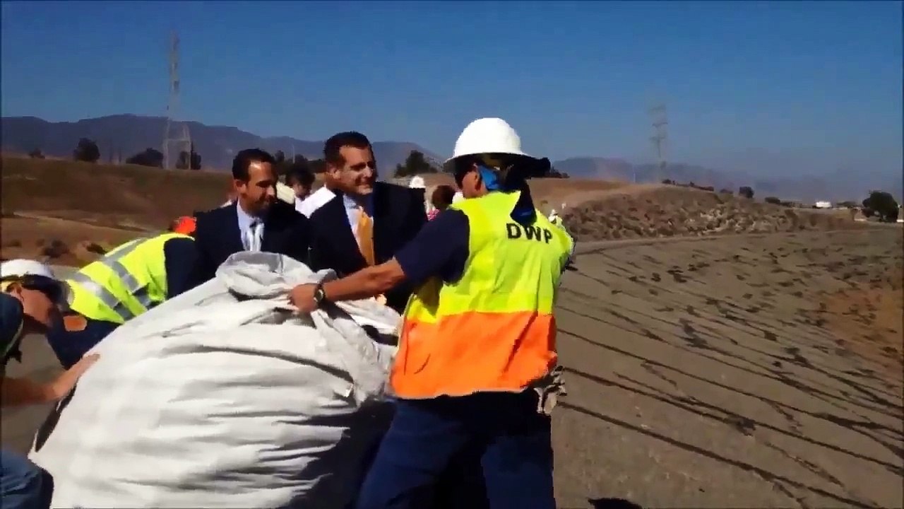 Black "Shade-Balls" & Black Goo Messing With Your DNA...