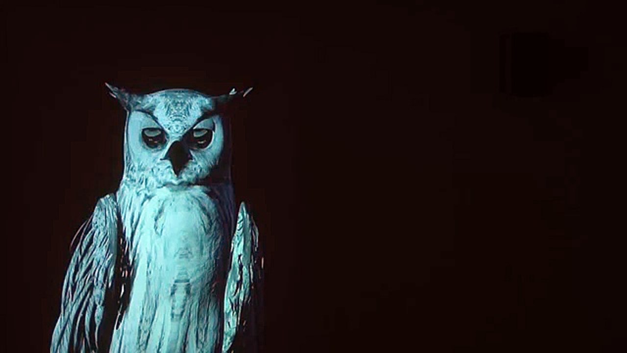 Ann Lislegaard - Oracles, Owls  Some Animals Never Sleep, 2012 - 2013