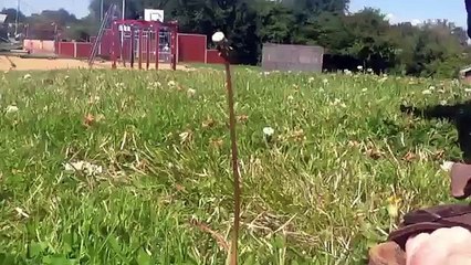 "Raining Tacos" Fan Video