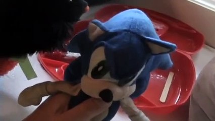 Sonic Plush Adventures-The Doctor