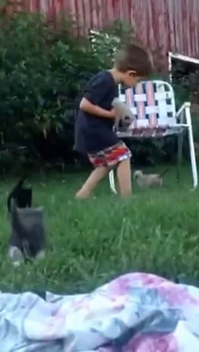 Ce gamin essaye de rassembler des chatons... Tellement mignon et marrant !