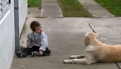 Video Enternecedor: Haciendose Amigos | Perro jugando tiernamente con un niño