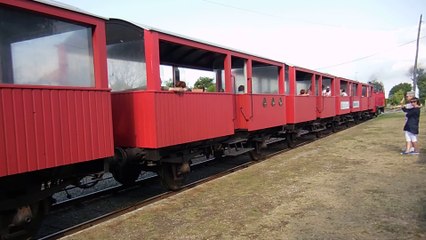 train des mouettes