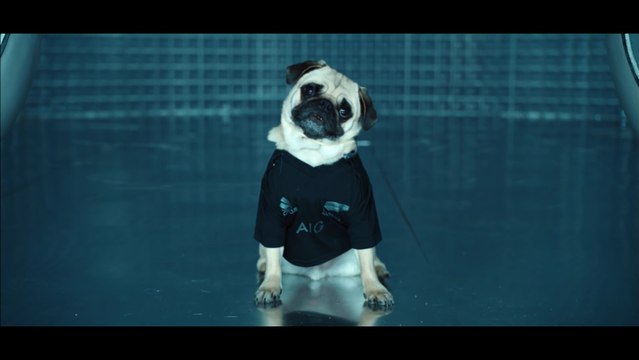 All Blacks Rugby Team plays in Air New Zealand Men in Black plane safety announcement Video!