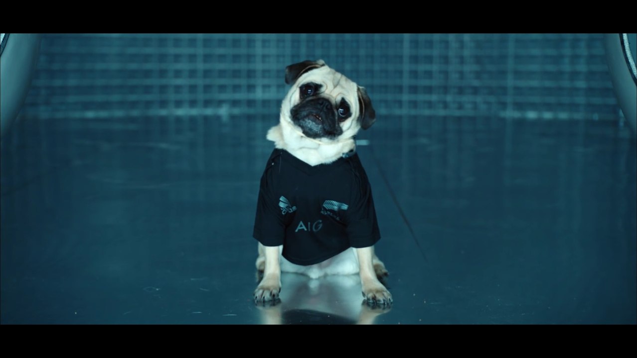 All Blacks Rugby Team plays in Air New Zealand Men in Black plane safety announcement Video!