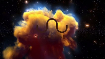 BEAR SAVES CROW FROM DROWNING