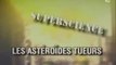 Les asteroides tueurs  (superscience)