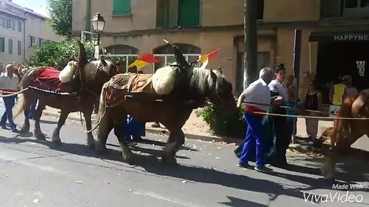 la carretto ramado, à St Remy de Provence 15 août 2015