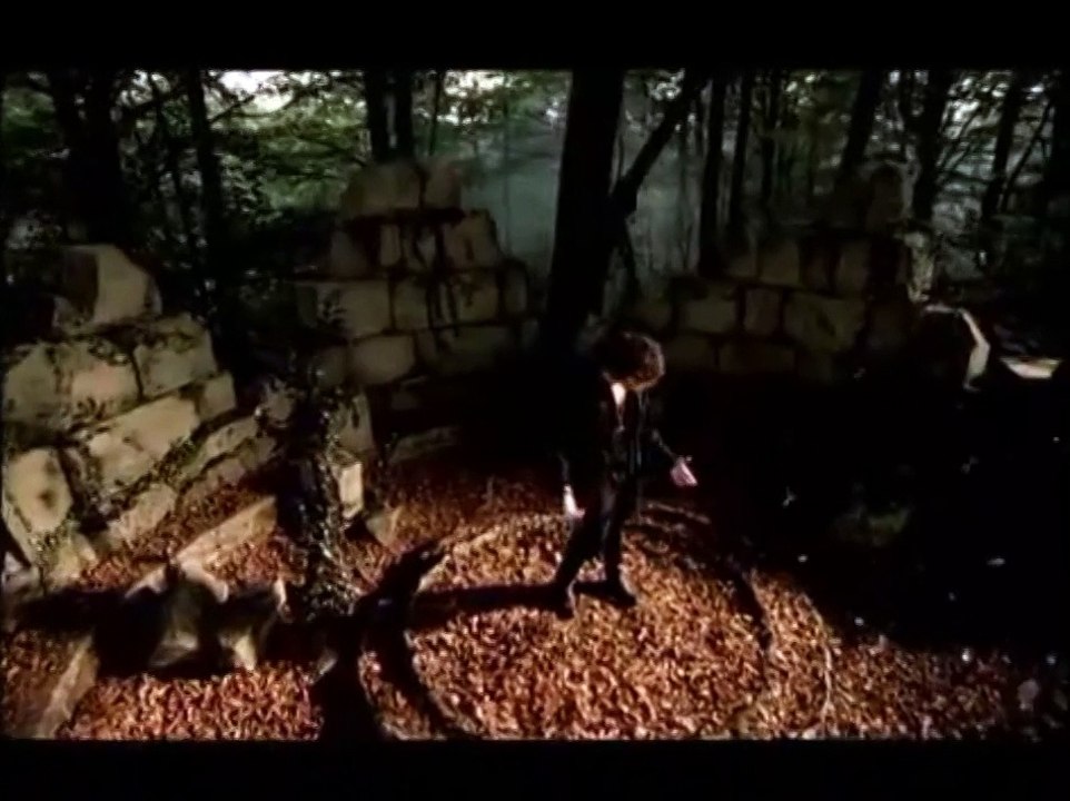 Literal Translation - Tell Her (David Bisbal - Dígale)