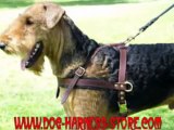 Dog harness,leather dog harness,nylon dog harness,harness