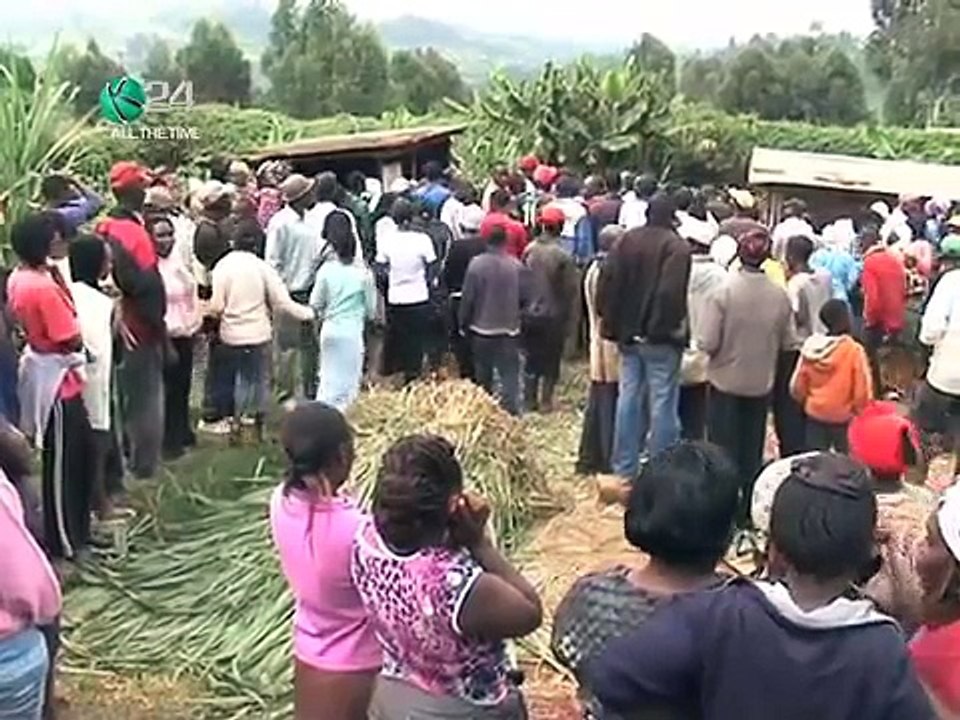 Mwanamume Afumaniwa Akila Uroda Na Ng'ombe, Limuru