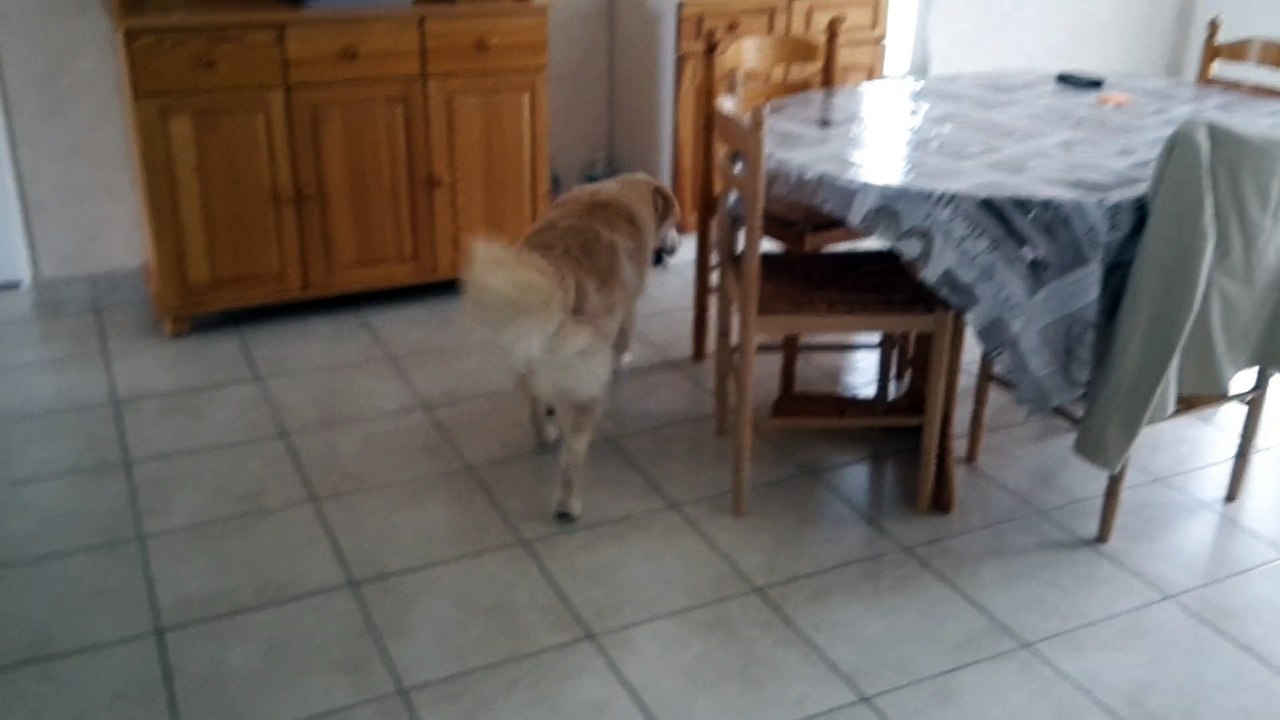 Voy cache cache