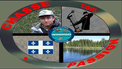 chasse a l'arc ours noir