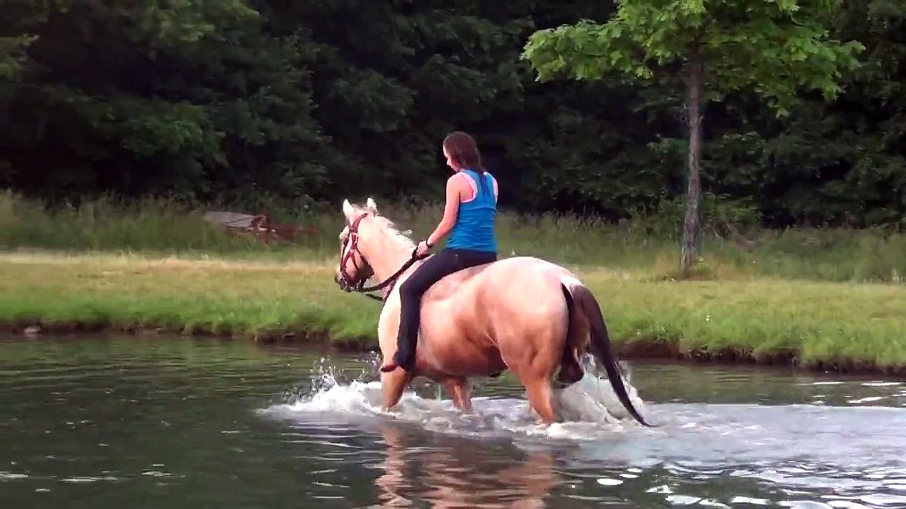 Riding Horses Bareback In A Pond