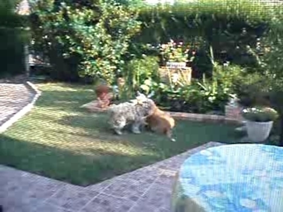 Vick & Vick
