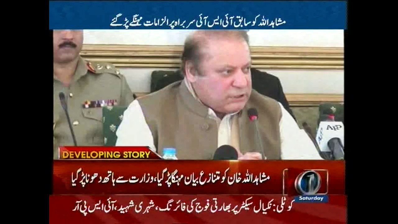Mushahidullah resigns after controversial interview