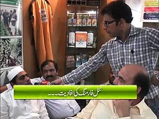 kisan time tonal forming