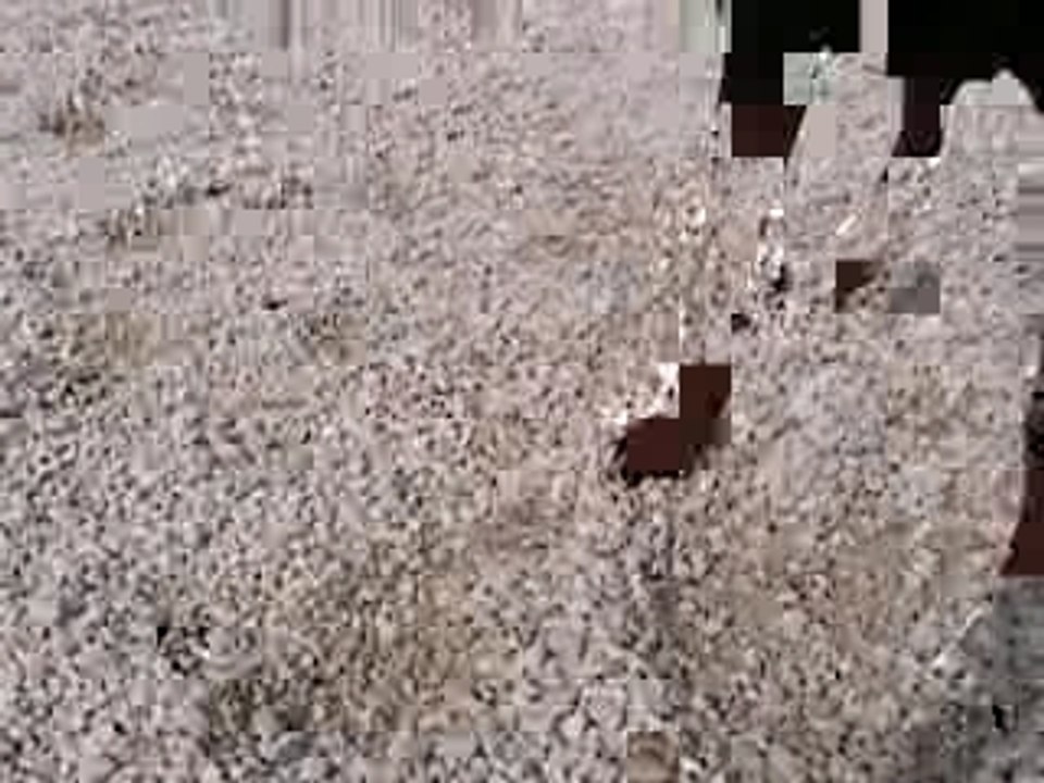 DCFC0001
