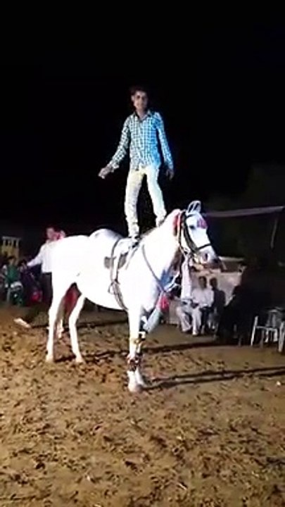 Dancing with horse