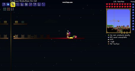 Terraria Bug Thingy