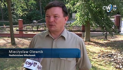 Konkurs z Nadleśnictwem