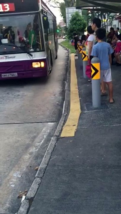 SBS BUS 113 Full