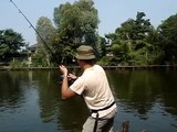 Playing a Mekong Catfish!