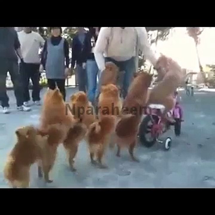 Children's cartoon