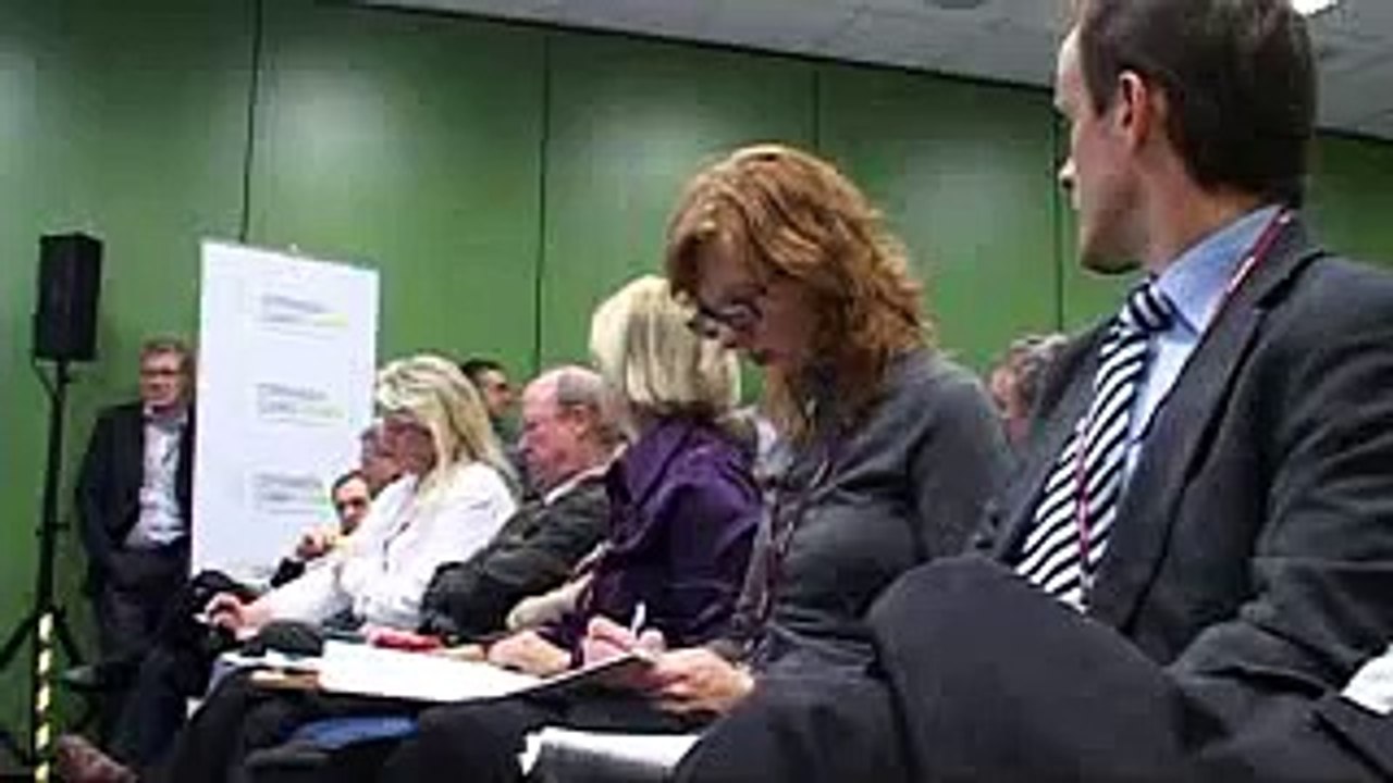 Steve Harper - Copenhagen Climate Council COP14 Side Event