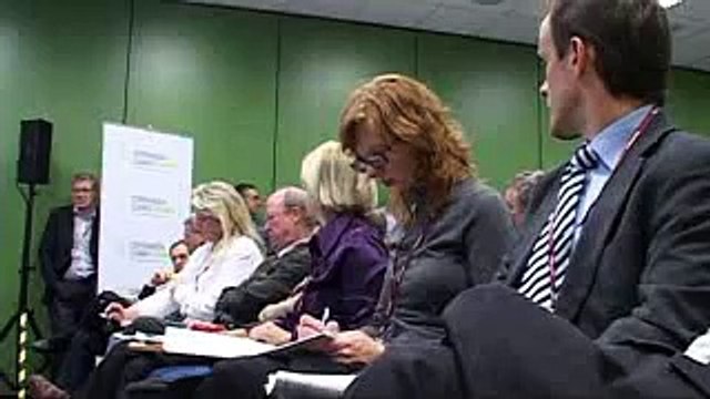 Steve Harper - Copenhagen Climate Council COP14 Side Event