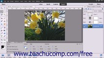 Photoshop Elements 13 Tutorial Stacking & Linking Layers Adobe Training