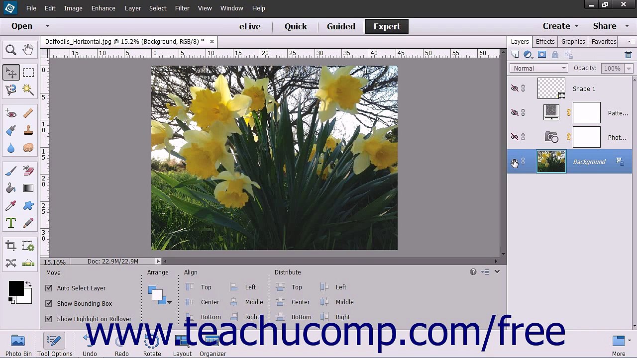 Photoshop Elements 13 Tutorial Stacking & Linki...