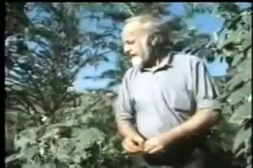 ...Bill Mollison Permacultura... ...O...