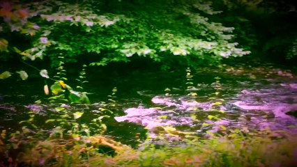 The Wizard Of Oz (parody) Part 1